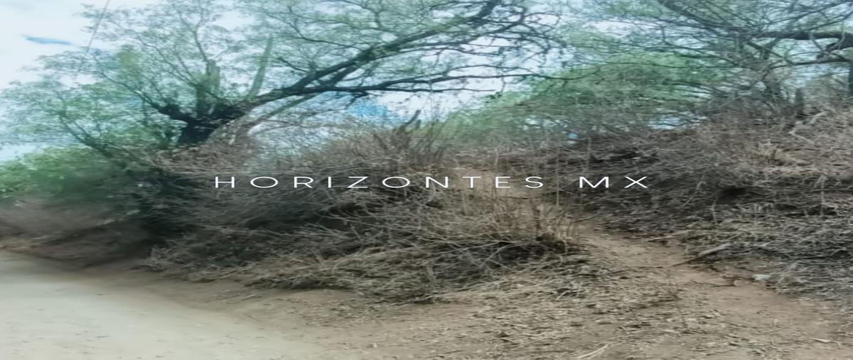 Foto de terreno habitacional en venta en valenciana , filtros de valenciana, guanajuato, guanajuato, 25143064 No. 03