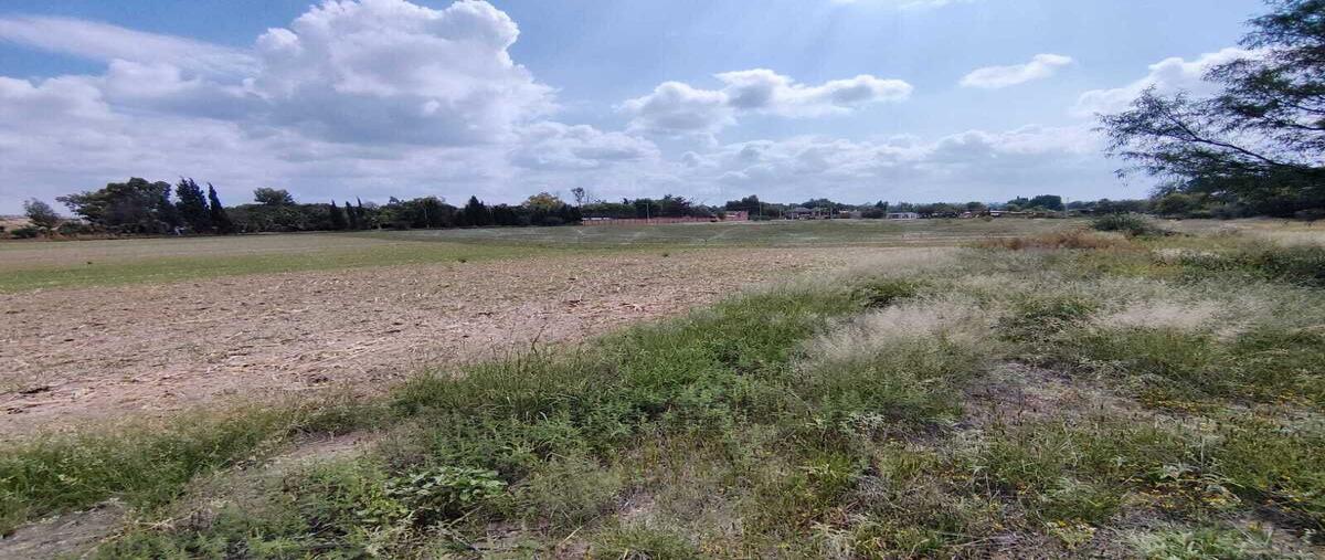 Foto de terreno habitacional en venta en valladolid , aguascalientes 2000, aguascalientes, aguascalientes, 28133750 No. 05