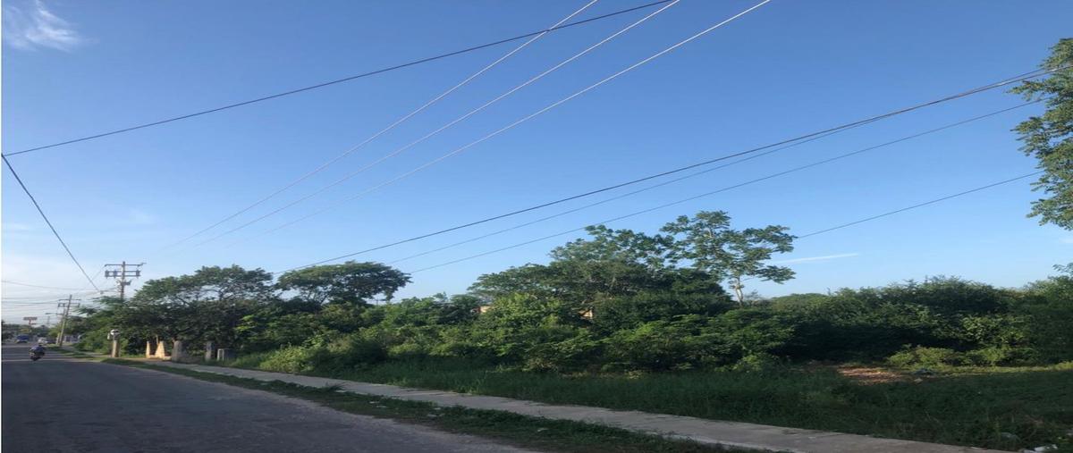 Foto de terreno habitacional en venta en  , valladolid centro, valladolid, yucatán, 15490702 No. 02
