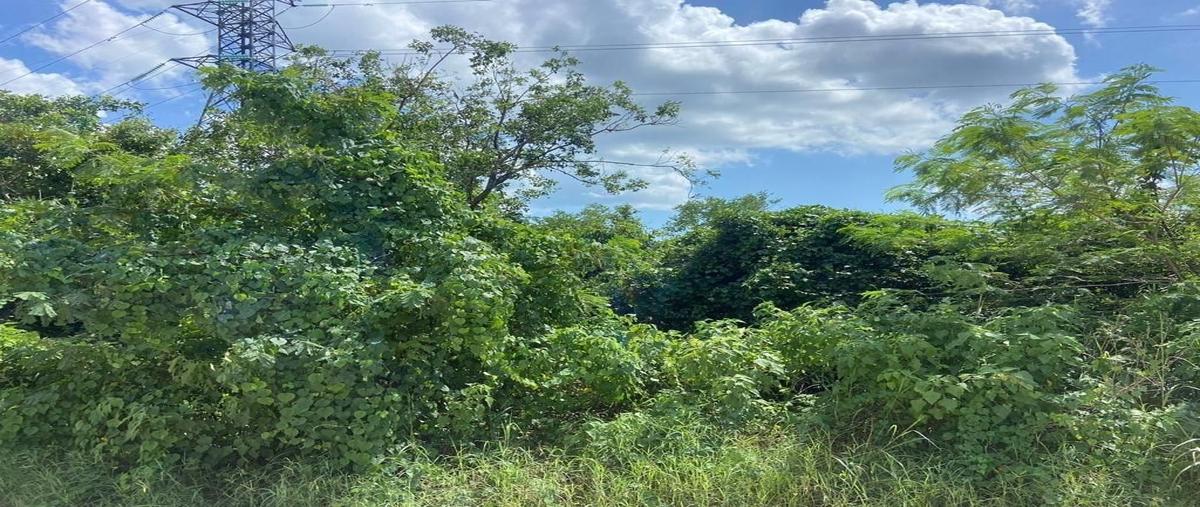 Foto de terreno habitacional en renta en  , valladolid centro, valladolid, yucatán, 25698143 No. 03