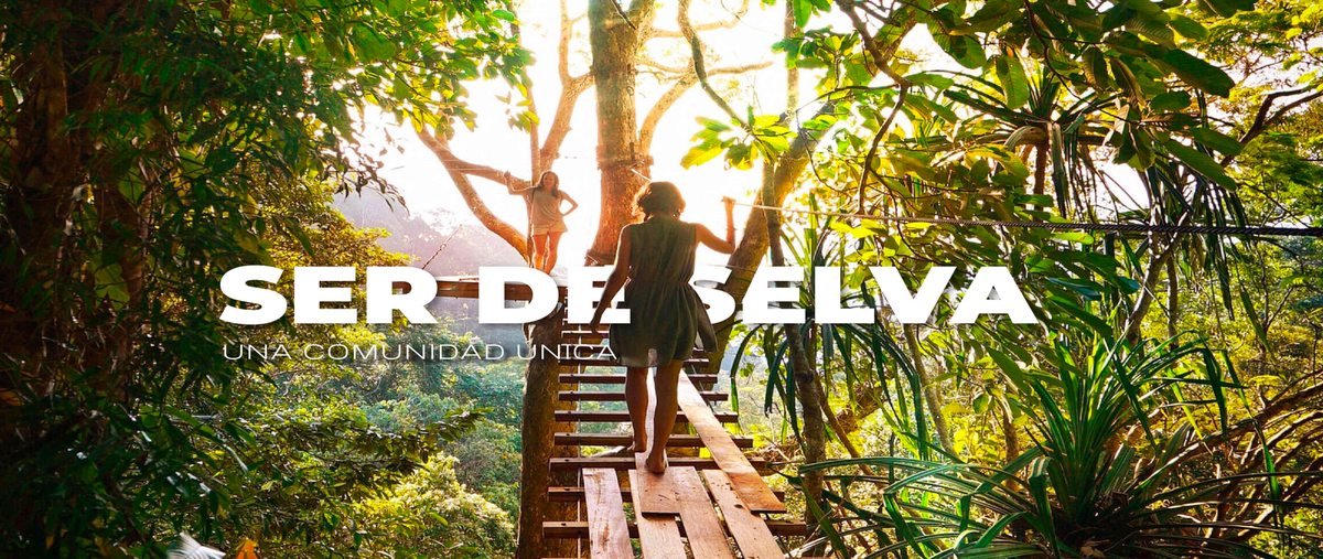 Foto de terreno habitacional en , valladolid centro, valladolid, yucatán, 26215740 foto 02 Foto de terreno habitacional en venta en , valladolid centro, valladolid, yucatán, 26215740 No. 02