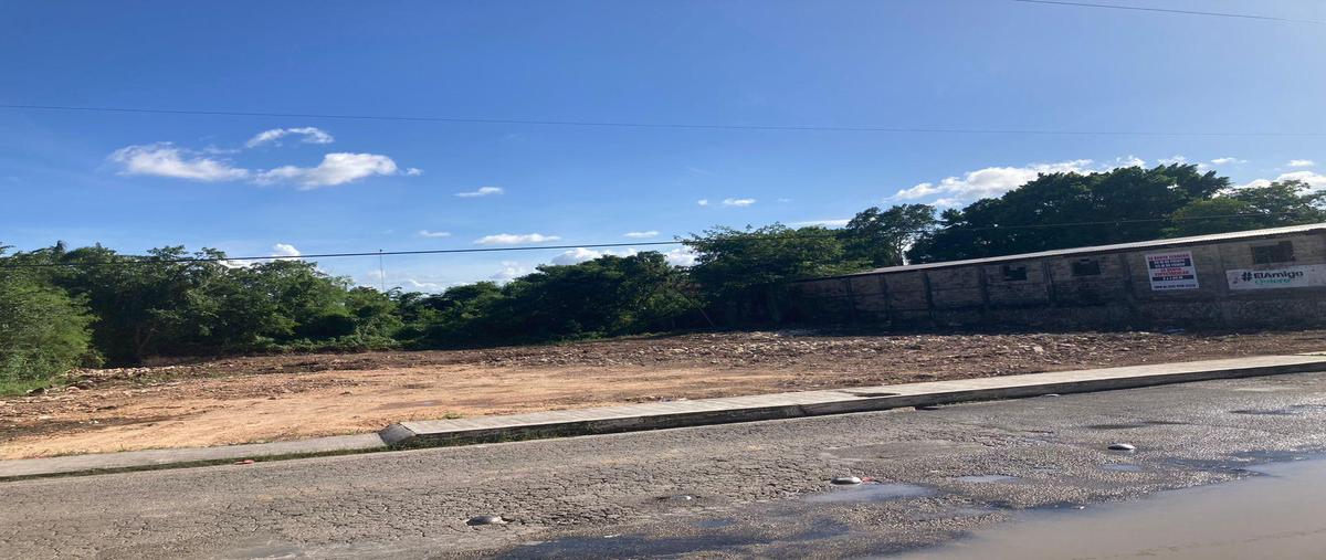 Foto de terreno habitacional en , valladolid centro, valladolid, yucatán, 26386554 foto 02 Foto de terreno habitacional en renta en , valladolid centro, valladolid, yucatán, 26386554 No. 02