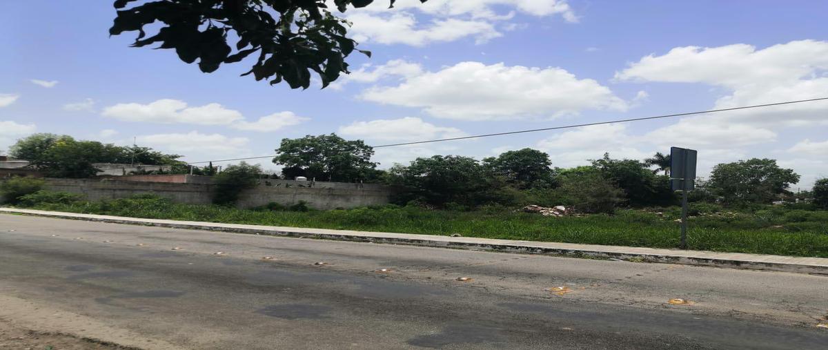 Foto de terreno habitacional en , valladolid centro, valladolid, yucatán, 26386554 foto 05 Foto de terreno habitacional en renta en , valladolid centro, valladolid, yucatán, 26386554 No. 05