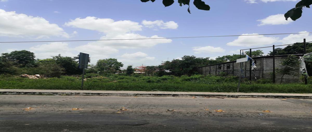Foto de terreno habitacional en , valladolid centro, valladolid, yucatán, 0 foto 02 Foto de terreno habitacional en renta en , valladolid centro, valladolid, yucatán, 0 No. 02