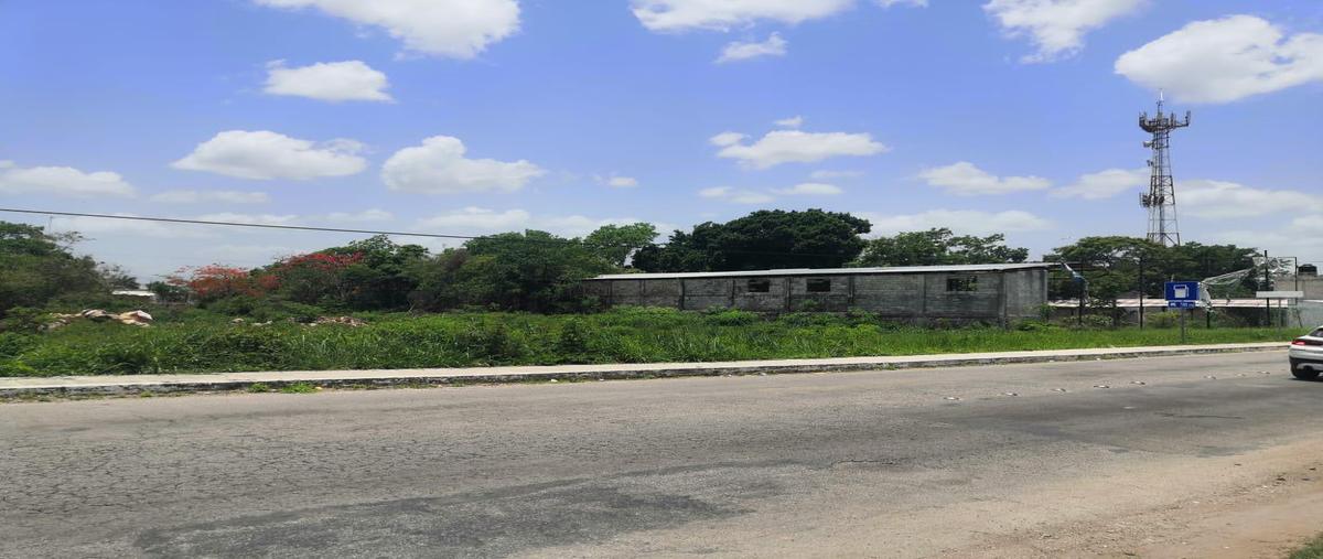 Foto de terreno habitacional en , valladolid centro, valladolid, yucatán, 26386555 foto 03 Foto de terreno habitacional en renta en , valladolid centro, valladolid, yucatán, 26386555 No. 03
