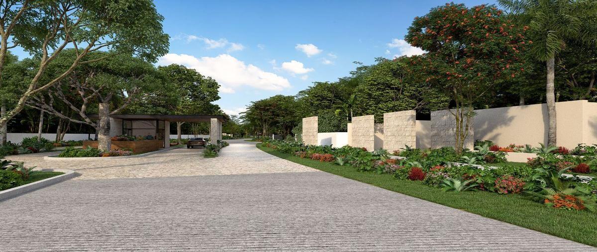 Foto de terreno habitacional en venta en  , valladolid centro, valladolid, yucatán, 26991803 No. 03