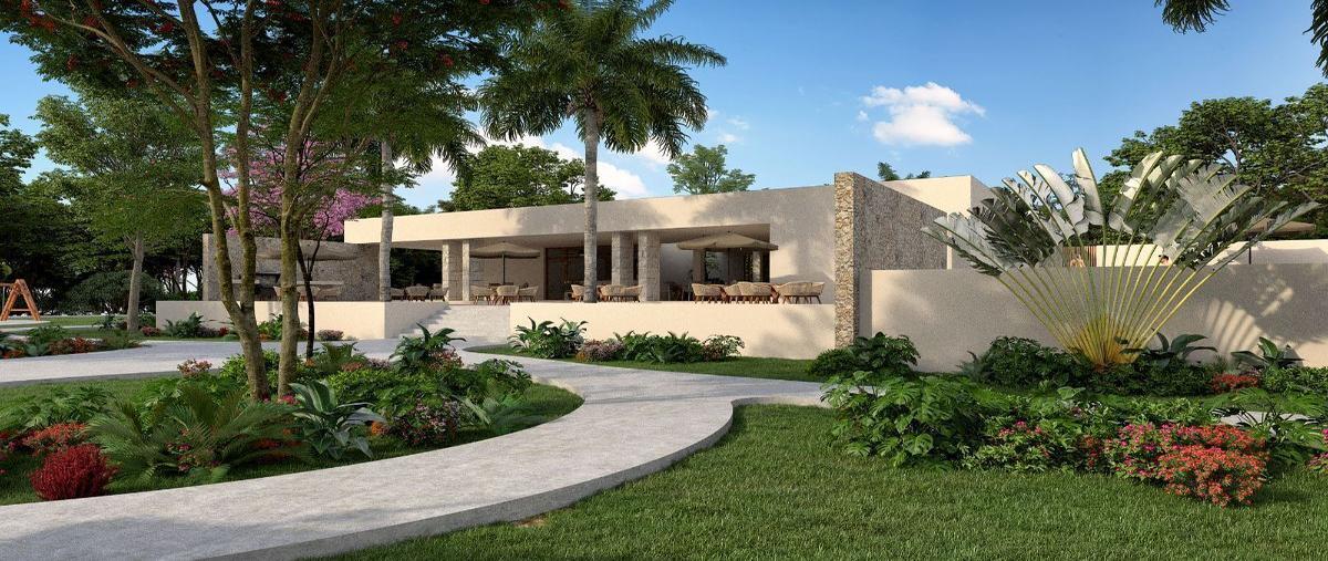 Foto de terreno habitacional en venta en  , valladolid centro, valladolid, yucatán, 26991803 No. 05