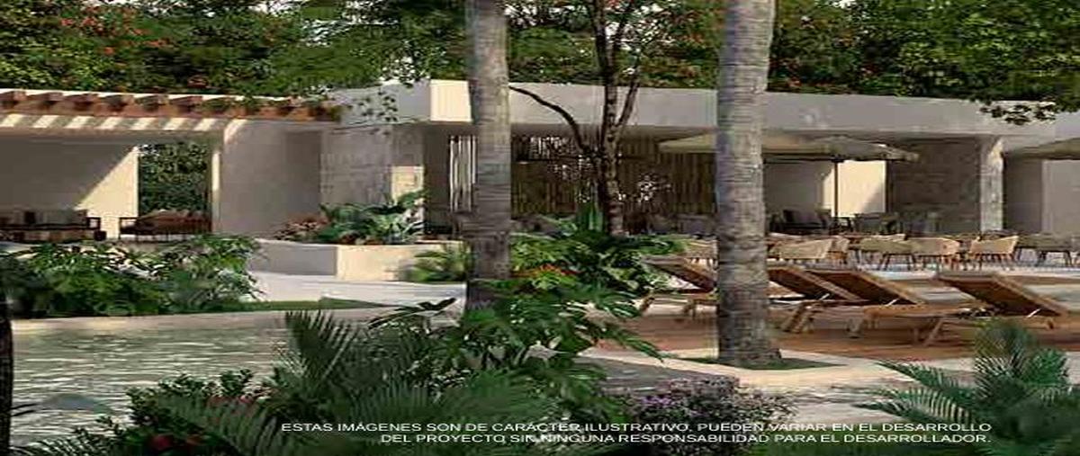 Foto de terreno habitacional en , valladolid centro, valladolid, yucatán, 0 foto 05 Foto de terreno habitacional en venta en , valladolid centro, valladolid, yucatán, 0 No. 05