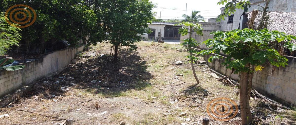 Foto de terreno habitacional en , valladolid centro, valladolid, yucatán, 28490968 foto 05 Foto de terreno habitacional en venta en , valladolid centro, valladolid, yucatán, 28490968 No. 05