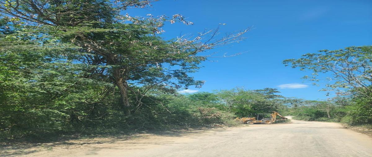 Foto de terreno habitacional en venta en  , valladolid centro, valladolid, yucatán, 29522942 No. 03