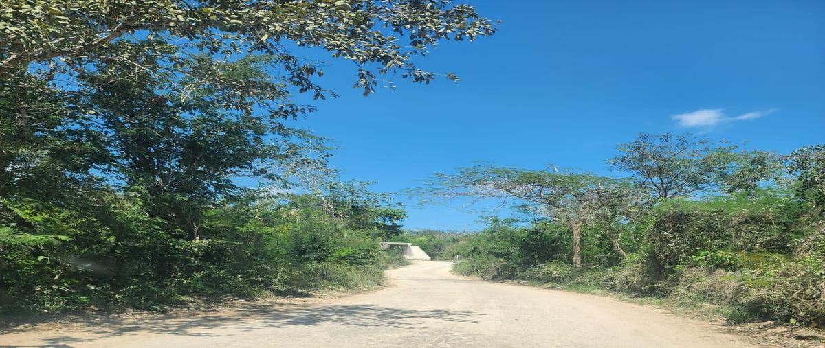 Foto de terreno habitacional en venta en  , valladolid centro, valladolid, yucatán, 29522942 No. 05