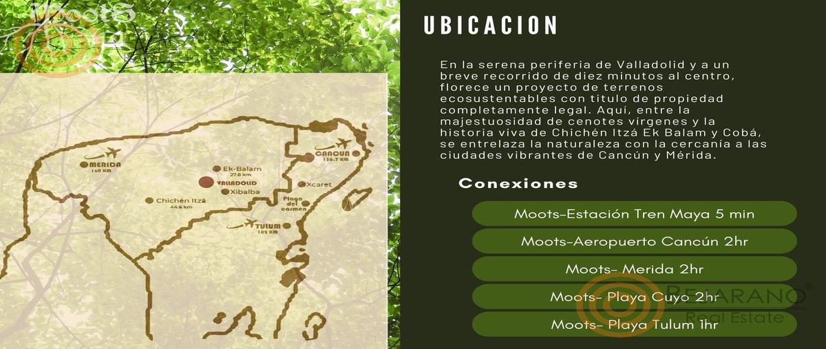 Foto de terreno habitacional en venta en  , valladolid centro, valladolid, yucatán, 29870889 No. 05