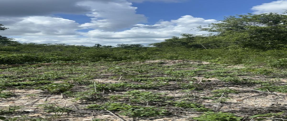 Foto de terreno habitacional en venta en  , valladolid centro, valladolid, yucatán, 30286513 No. 05