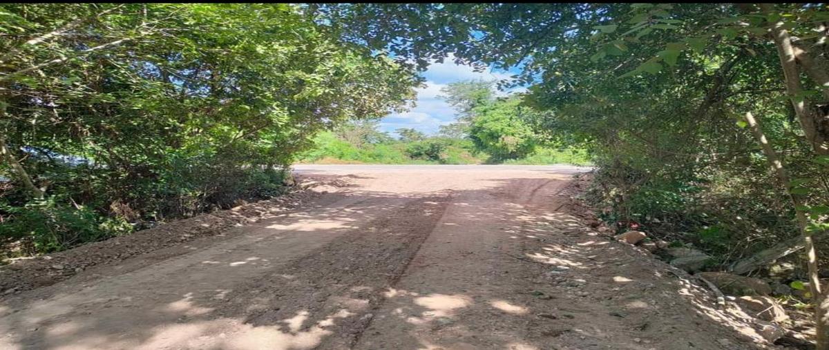 Foto de terreno habitacional en venta en valladolid centro, valladolid, yucatán , valladolid centro, valladolid, yucatán, 25785201 No. 03