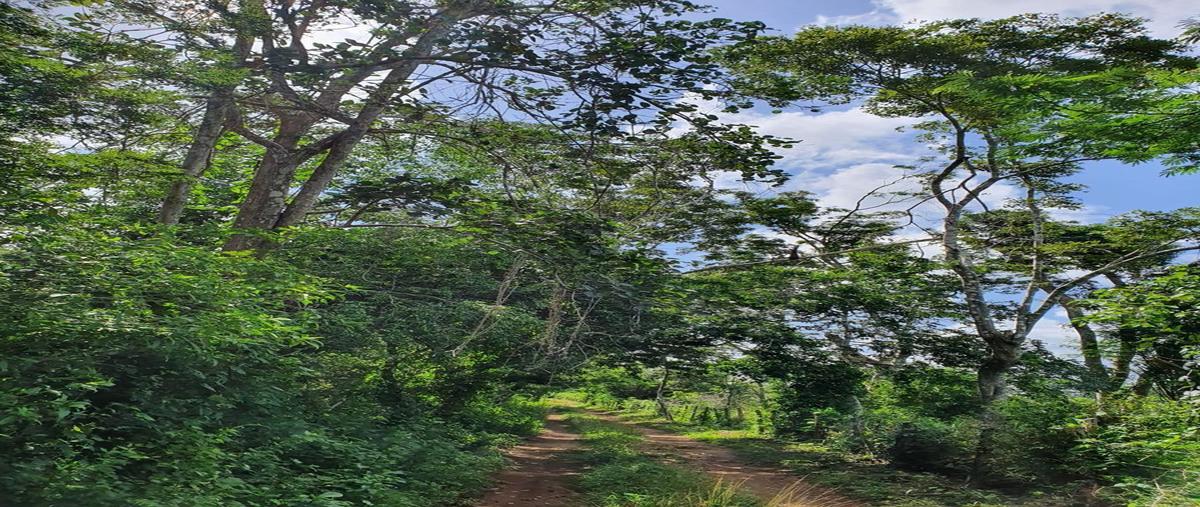 Foto de terreno habitacional en venta en valladolid centro, valladolid, yucatán , valladolid centro, valladolid, yucatán, 25785201 No. 05