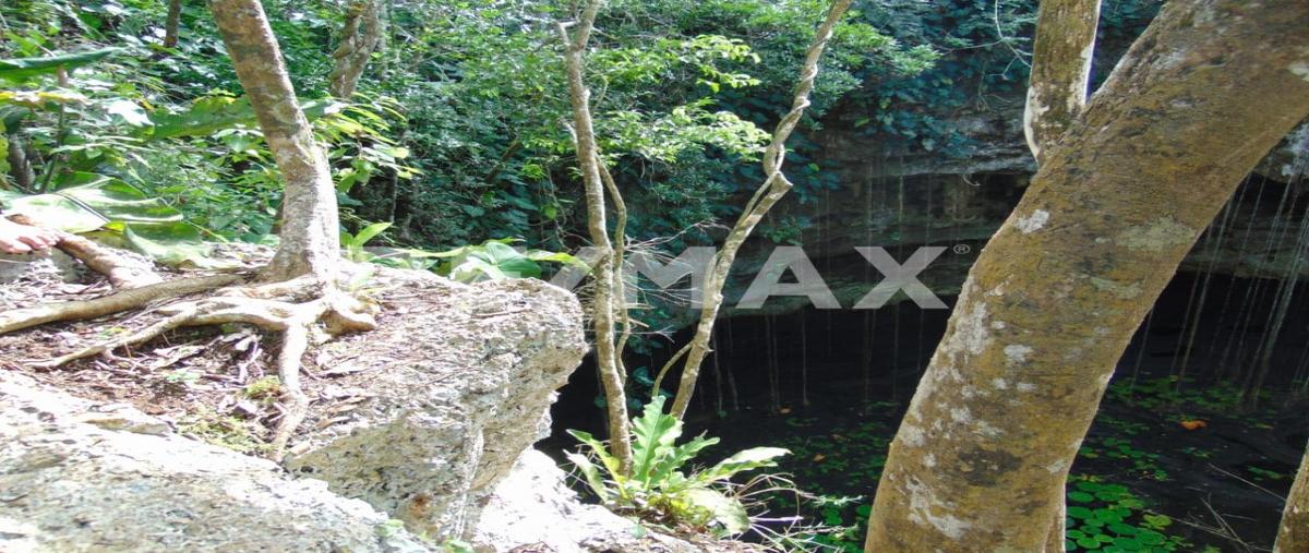 Foto de terreno habitacional en venta en valladolid , valladolid centro, valladolid, yucatán, 0 No. 04