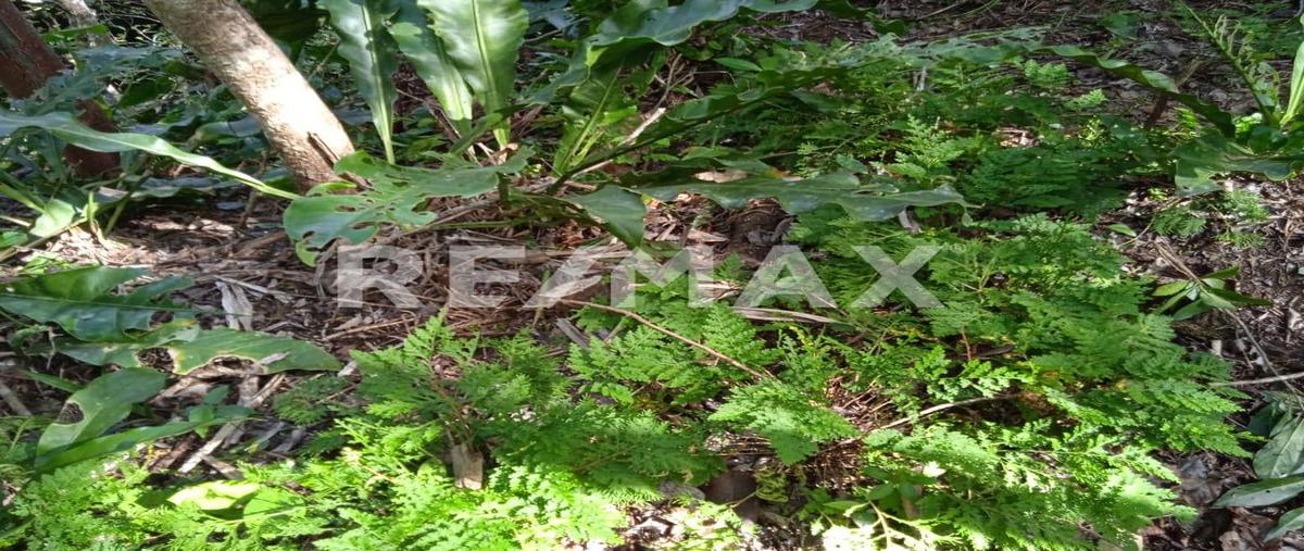 Foto de terreno habitacional en venta en valladolid , valladolid centro, valladolid, yucatán, 0 No. 05