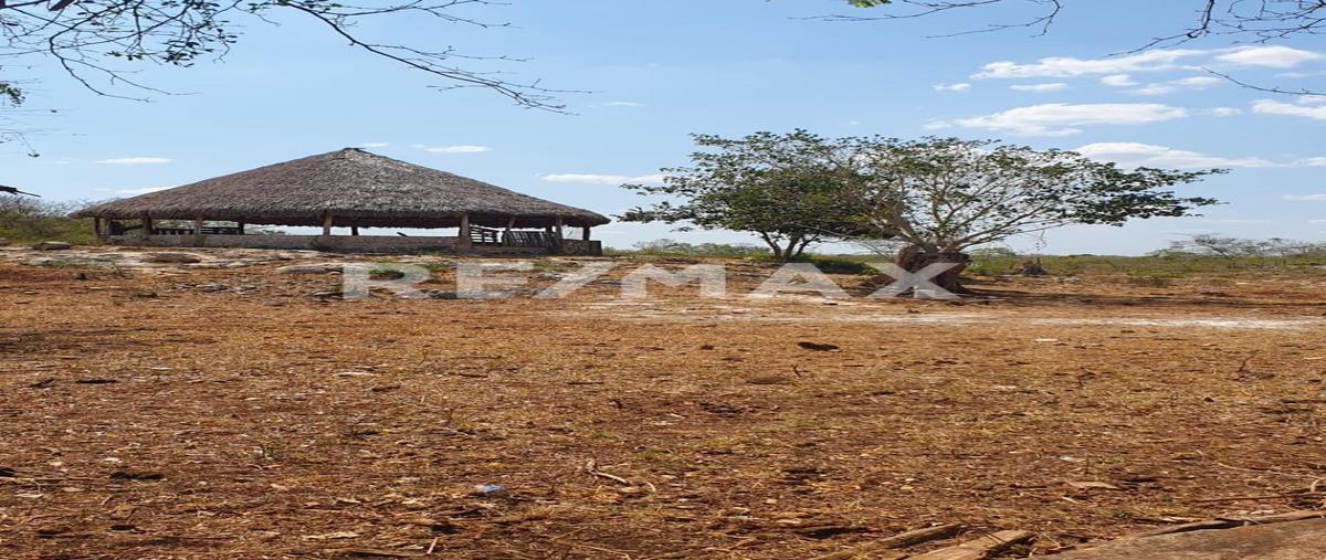 Foto de rancho en venta en valladolid , valladolid centro, valladolid, yucatán, 0 No. 03