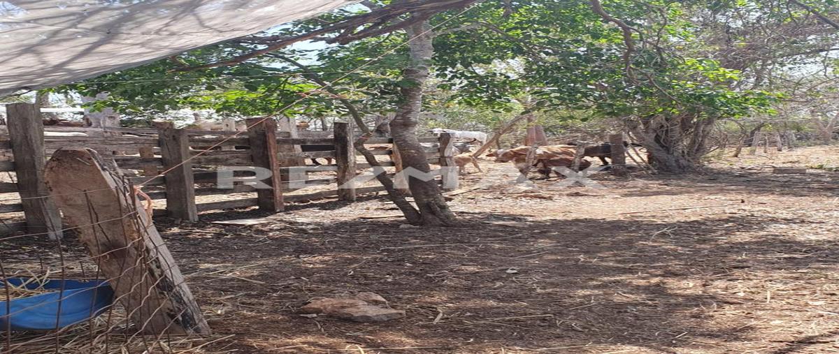 Foto de rancho en venta en valladolid , valladolid centro, valladolid, yucatán, 0 No. 05