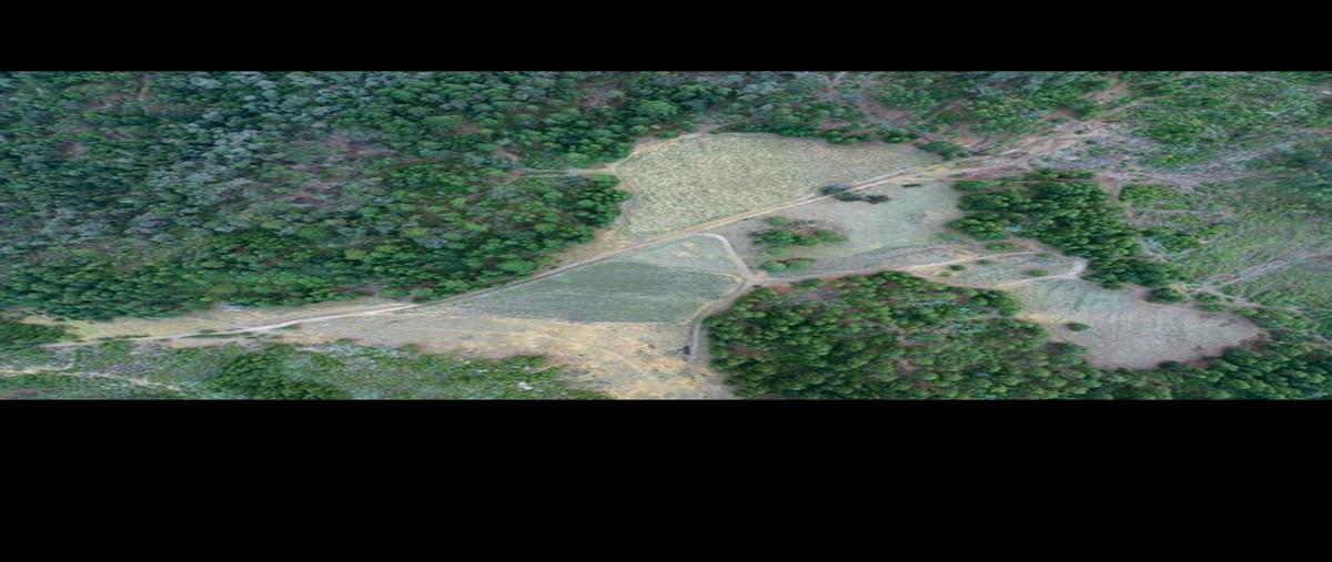 Foto de terreno comercial en venta en valle alto , juanacatlan, tapalpa, jalisco, 26093861 No. 03
