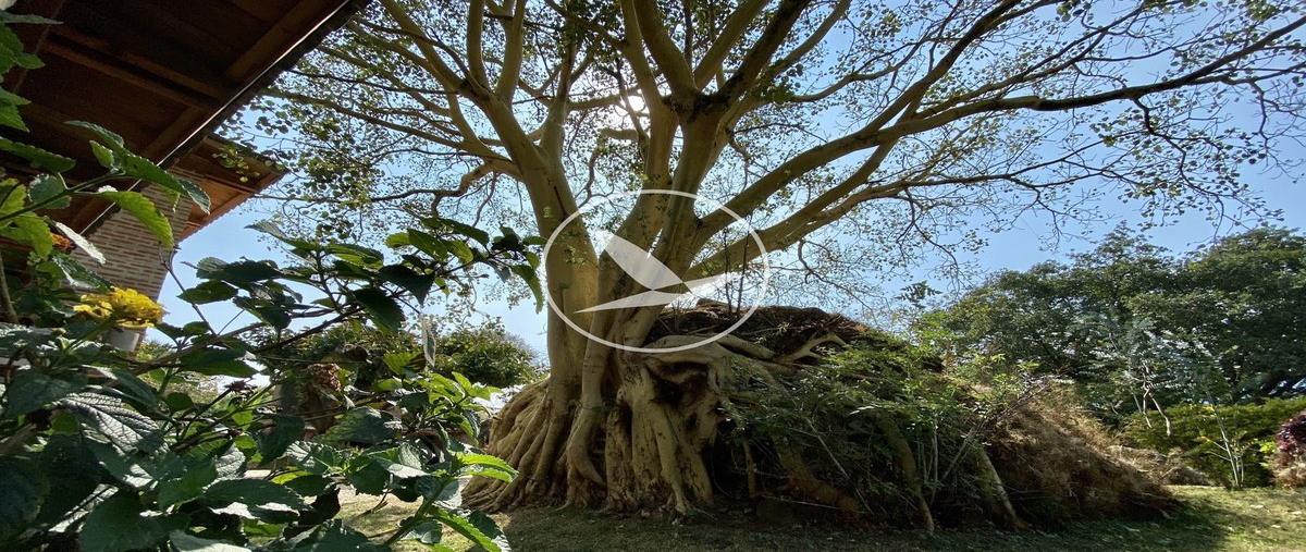 Foto de casa en valle de atongotepoztlán , tepoztlán centro, tepoztlán, morelos, 0 foto 05 Foto de casa en venta en valle de atongotepoztlán , tepoztlán centro, tepoztlán, morelos, 0 No. 05