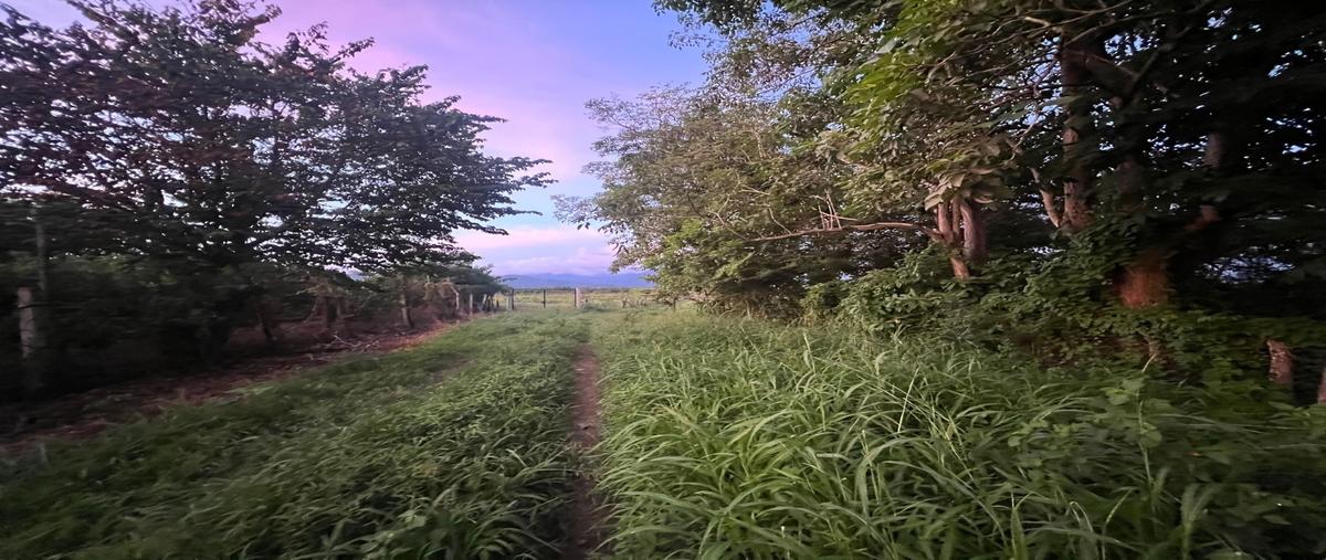 Foto de terreno habitacional en renta en  , valle de banderas, bahía de banderas, nayarit, 0 No. 03