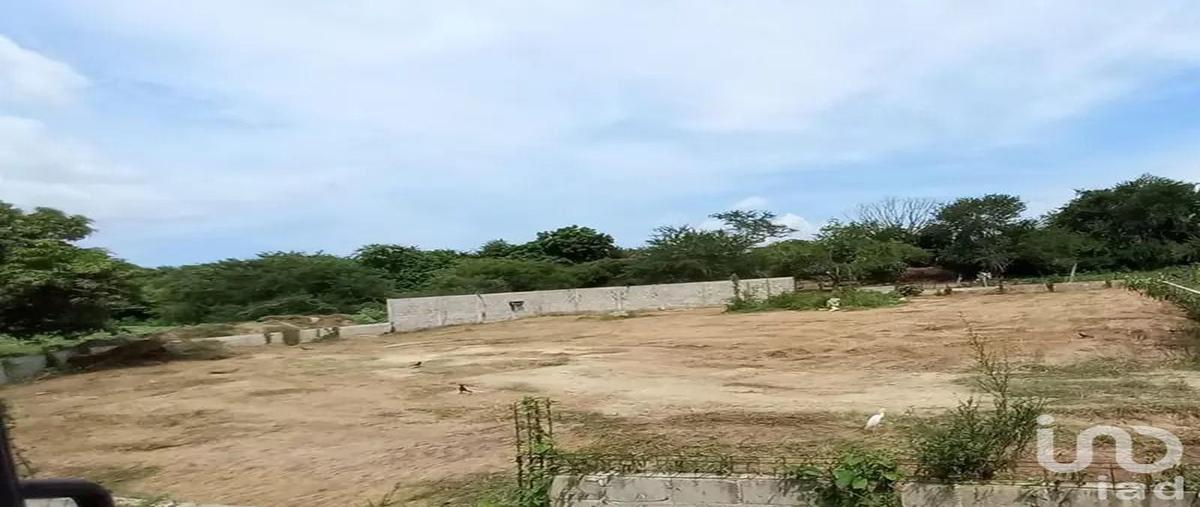 Foto de terreno comercial en valle de banderas , valle de banderas, bahía de banderas, nayarit, 31097641 foto 03 Foto de terreno comercial en venta en valle de banderas , valle de banderas, bahía de banderas, nayarit, 31097641 No. 03