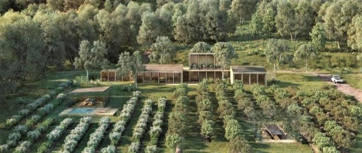 Foto de rancho en venta en valle de bravo , avándaro, valle de bravo, méxico, 0 No. 03