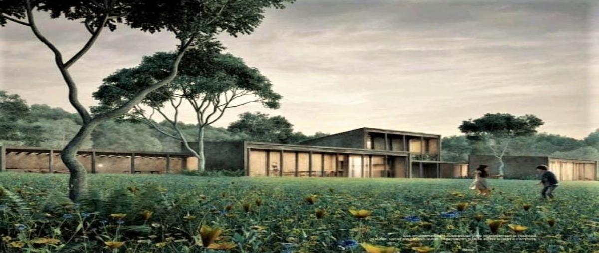 Foto de rancho en venta en valle de bravo , avándaro, valle de bravo, méxico, 0 No. 05