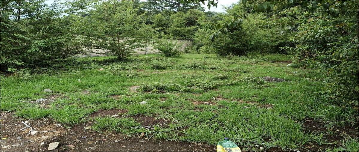 Foto de terreno habitacional en venta en valle de bravo , cerro colorado, valle de bravo, méxico, 28284202 No. 04