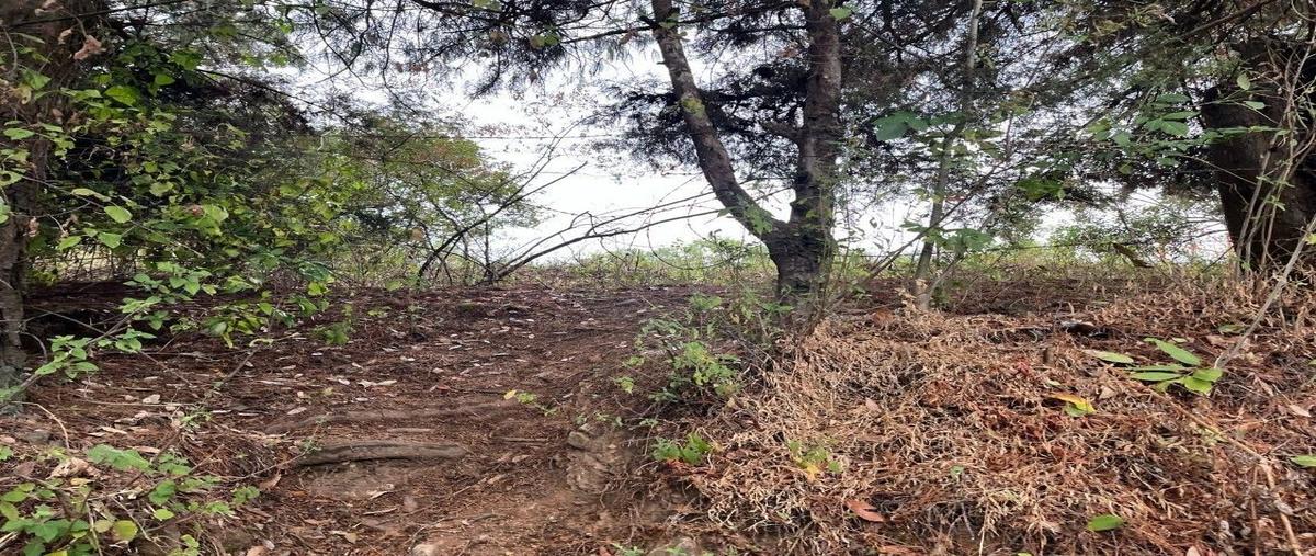 Foto de terreno habitacional en venta en valle de bravo , rincón de estradas, valle de bravo, méxico, 29988207 No. 03