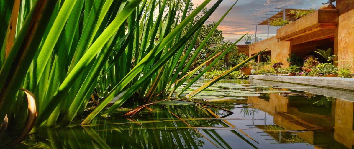 Foto de rancho en valle de bravo , santa magdalena tilostoc, valle de bravo, méxico, 27873229 foto 05 Foto de rancho en venta en valle de bravo , santa magdalena tilostoc, valle de bravo, méxico, 27873229 No. 05