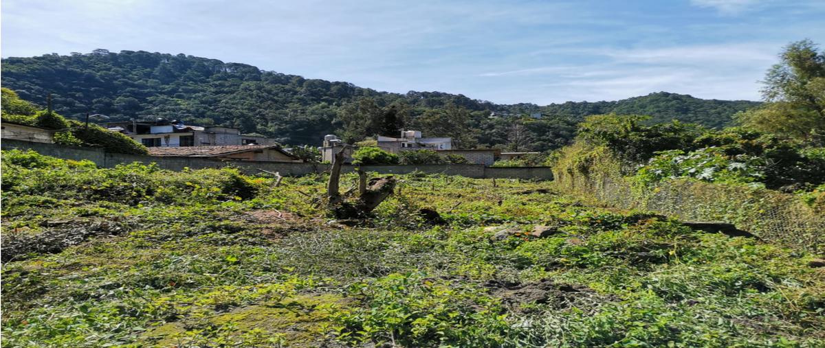 Foto de terreno habitacional en , valle de bravo, valle de bravo, méxico, 19797833 foto 03 Foto de terreno habitacional en venta en , valle de bravo, valle de bravo, méxico, 19797833 No. 03