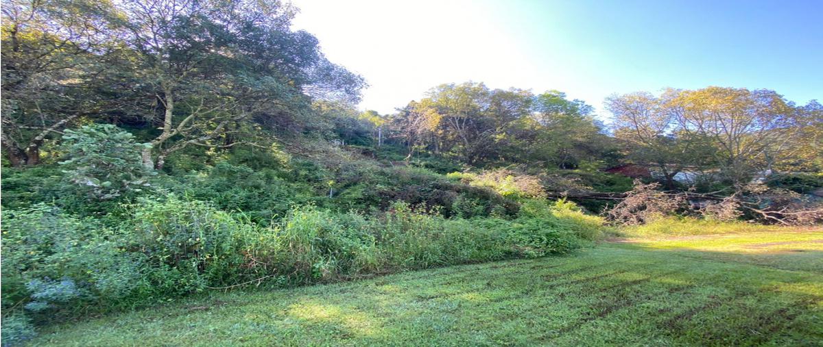 Foto de terreno habitacional en venta en  , valle de bravo, valle de bravo, méxico, 22842042 No. 04