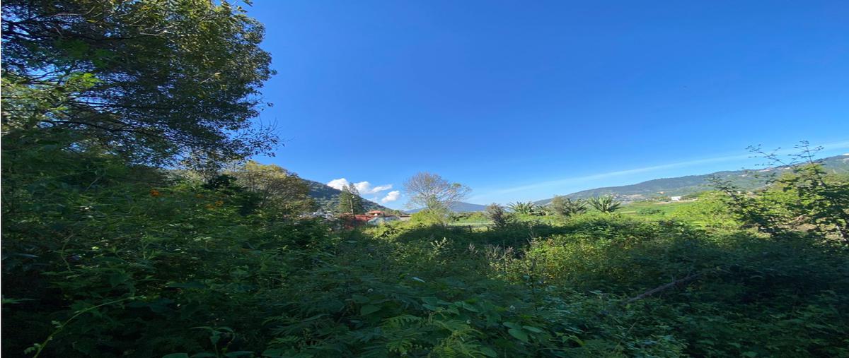 Foto de terreno habitacional en venta en  , valle de bravo, valle de bravo, méxico, 0 No. 05