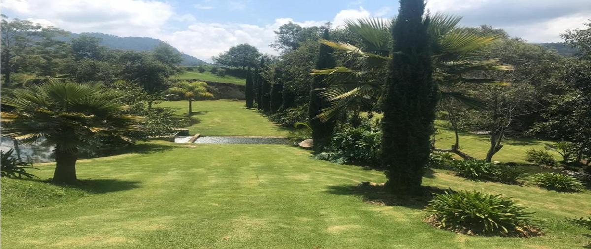 Foto de terreno habitacional en venta en  , valle de bravo, valle de bravo, méxico, 0 No. 03