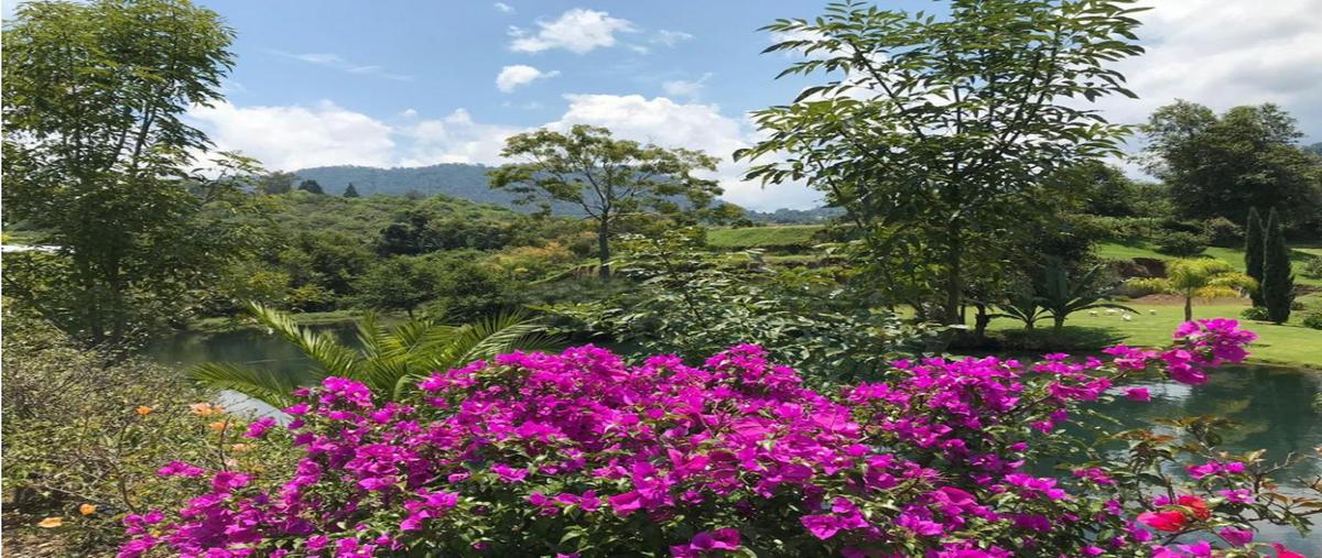 Foto de terreno habitacional en venta en  , valle de bravo, valle de bravo, méxico, 0 No. 04