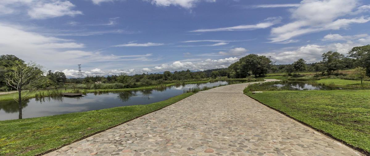Foto de rancho en venta en  , valle de bravo, valle de bravo, méxico, 26775721 No. 05