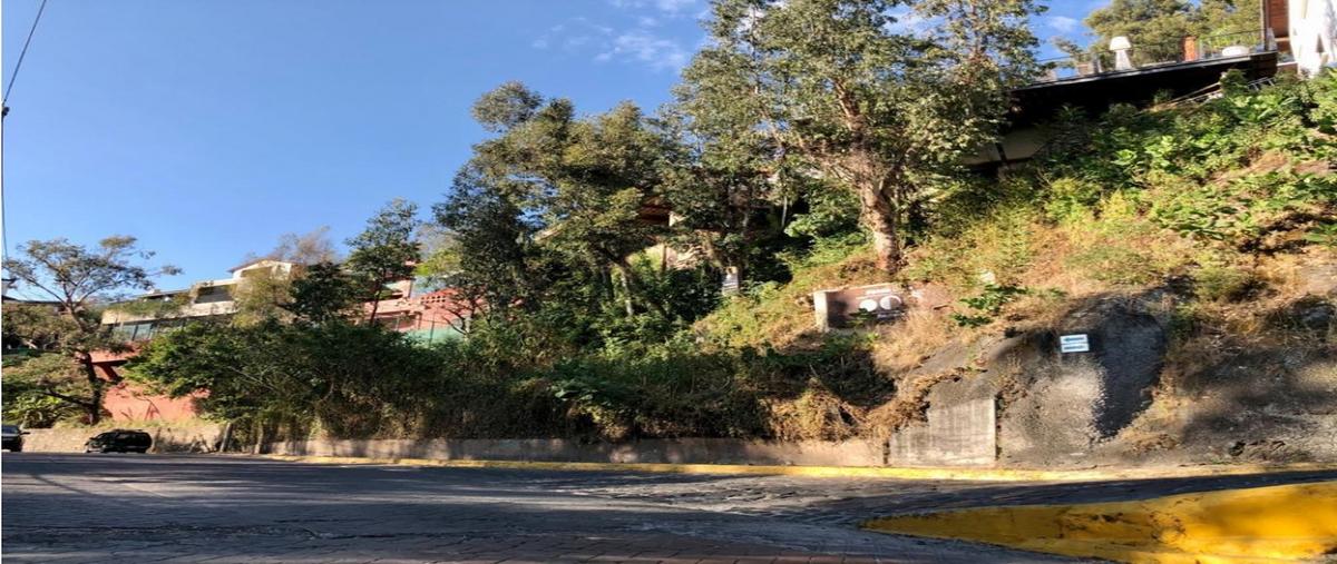 Foto de terreno habitacional en venta en  , valle de bravo, valle de bravo, méxico, 0 No. 03