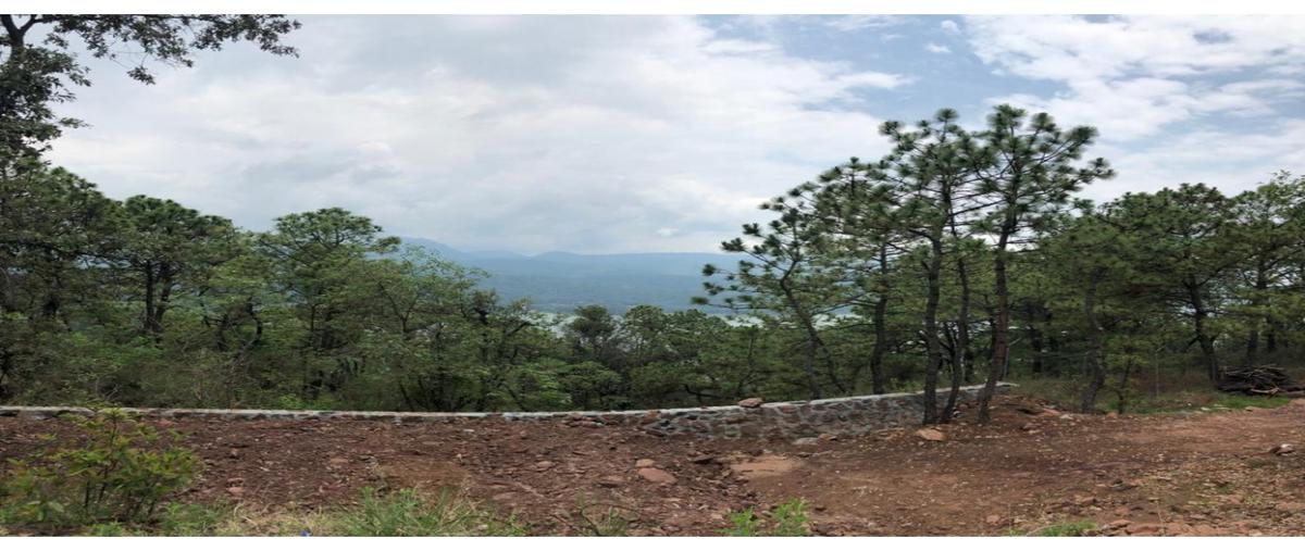 Foto de terreno habitacional en venta en  , valle de bravo, valle de bravo, méxico, 0 No. 04