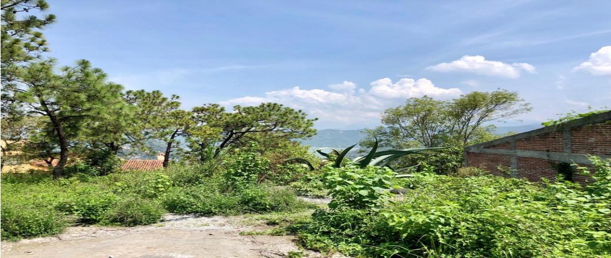 Foto de terreno habitacional en , valle de bravo, valle de bravo, méxico, 0 foto 05 Foto de terreno habitacional en venta en , valle de bravo, valle de bravo, méxico, 0 No. 05