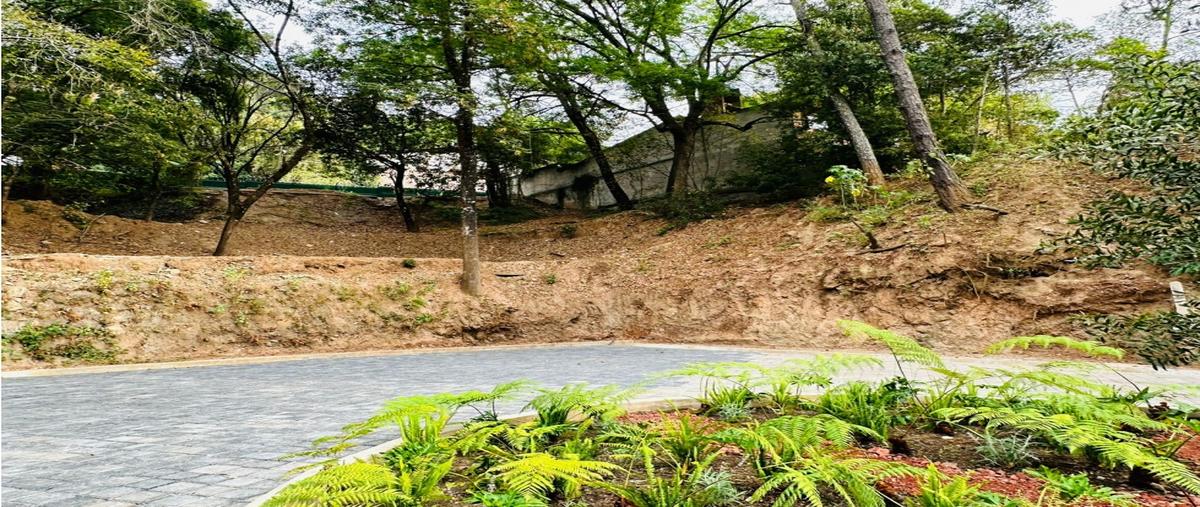 Foto de terreno habitacional en venta en  , valle de bravo, valle de bravo, méxico, 0 No. 03
