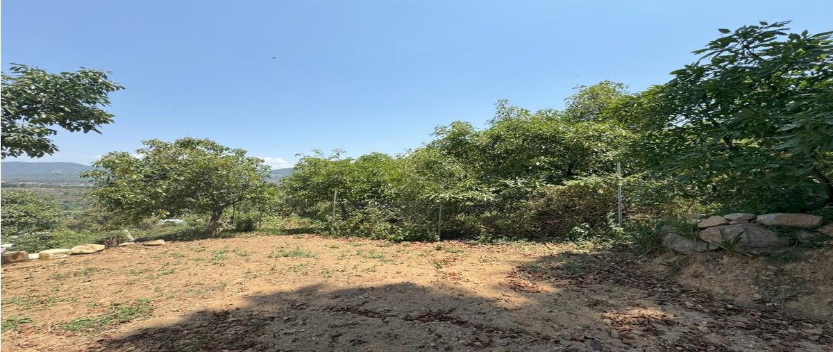 Foto de terreno habitacional en venta en  , valle de bravo, valle de bravo, méxico, 0 No. 03