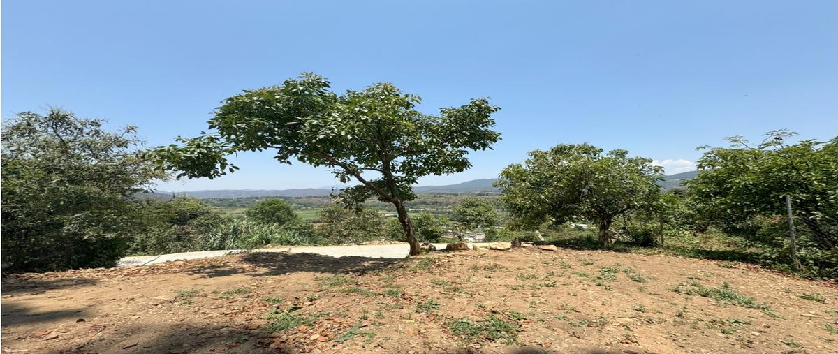 Foto de terreno habitacional en venta en  , valle de bravo, valle de bravo, méxico, 0 No. 04