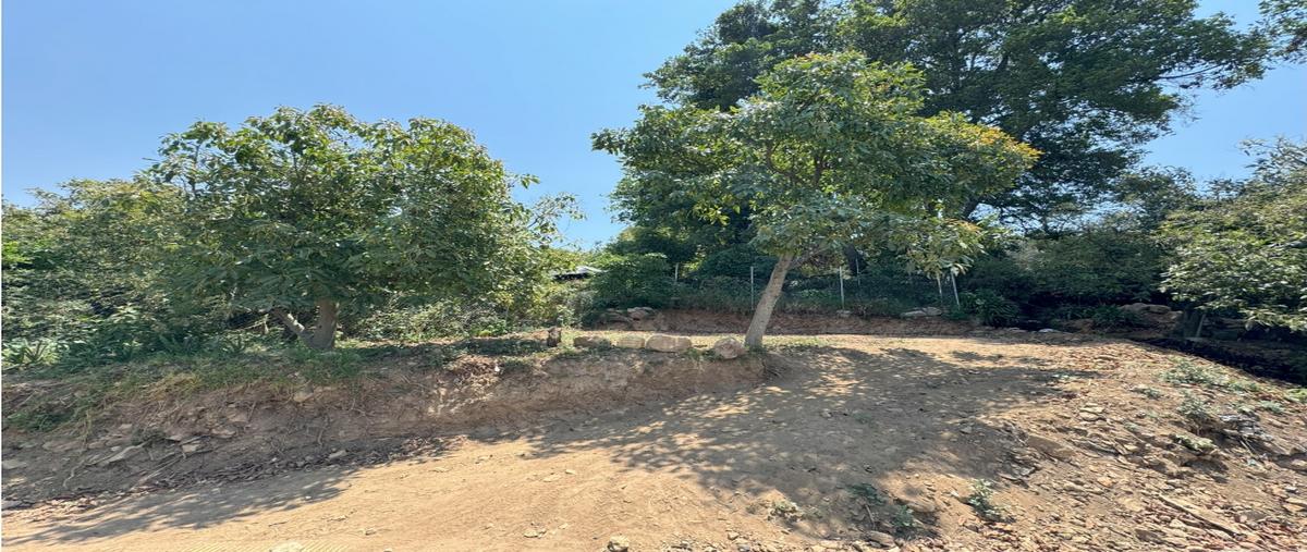 Foto de terreno habitacional en venta en  , valle de bravo, valle de bravo, méxico, 0 No. 05