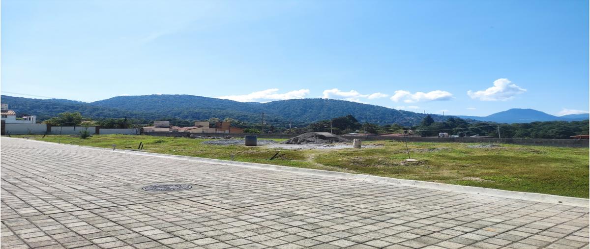 Foto de terreno habitacional en venta en  , valle de bravo, valle de bravo, méxico, 0 No. 04