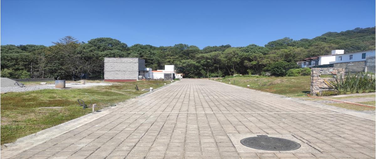 Foto de terreno habitacional en venta en  , valle de bravo, valle de bravo, méxico, 0 No. 05