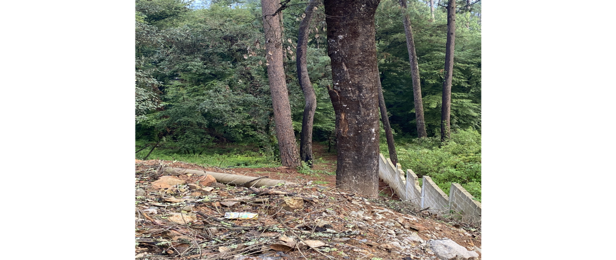 Foto de terreno habitacional en venta en  , valle de bravo, valle de bravo, méxico, 0 No. 03
