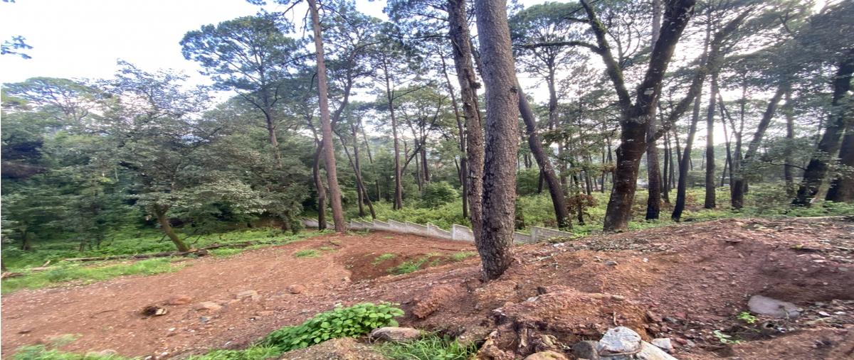 Foto de terreno habitacional en venta en  , valle de bravo, valle de bravo, méxico, 0 No. 04