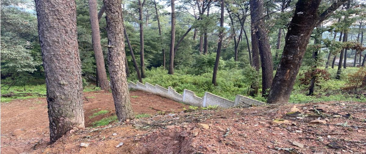 Foto de terreno habitacional en venta en  , valle de bravo, valle de bravo, méxico, 0 No. 05